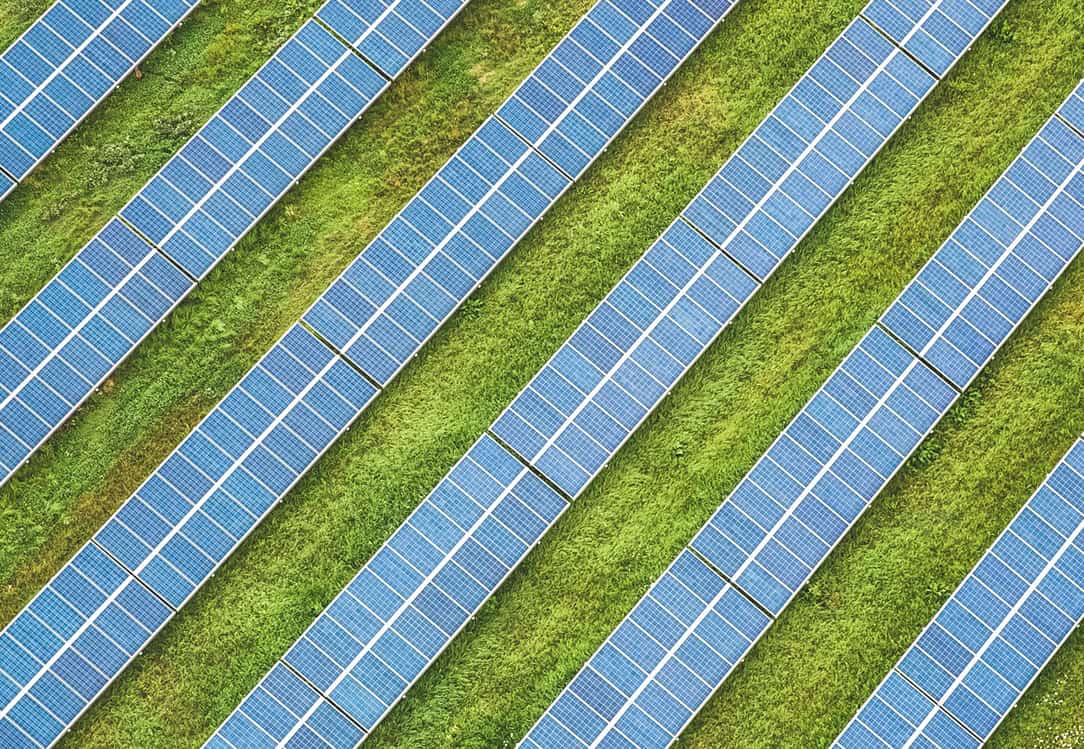 Solarpanele in mehreren Reihen auf einer Wiese